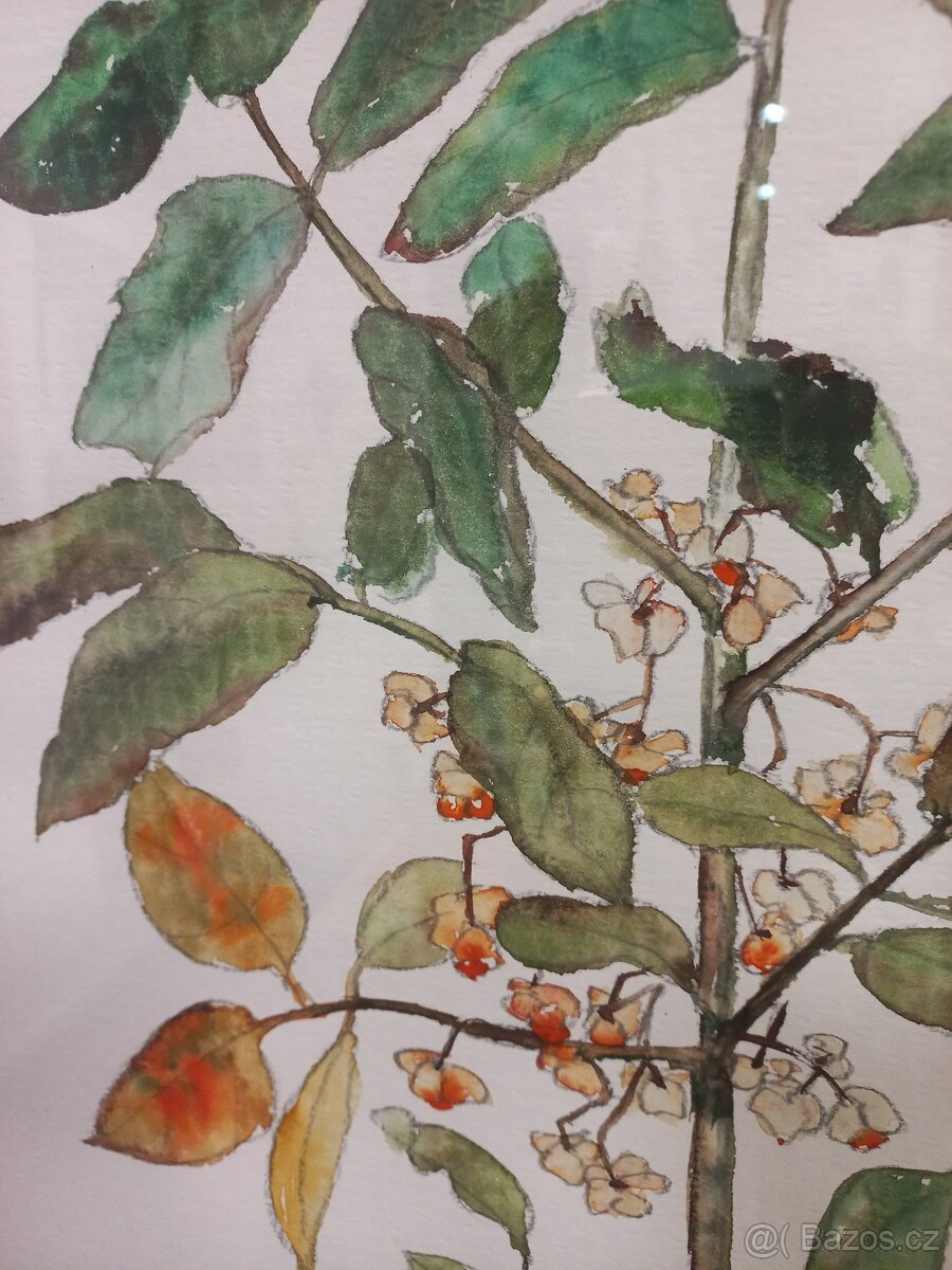 Obraz akvarel III - 5