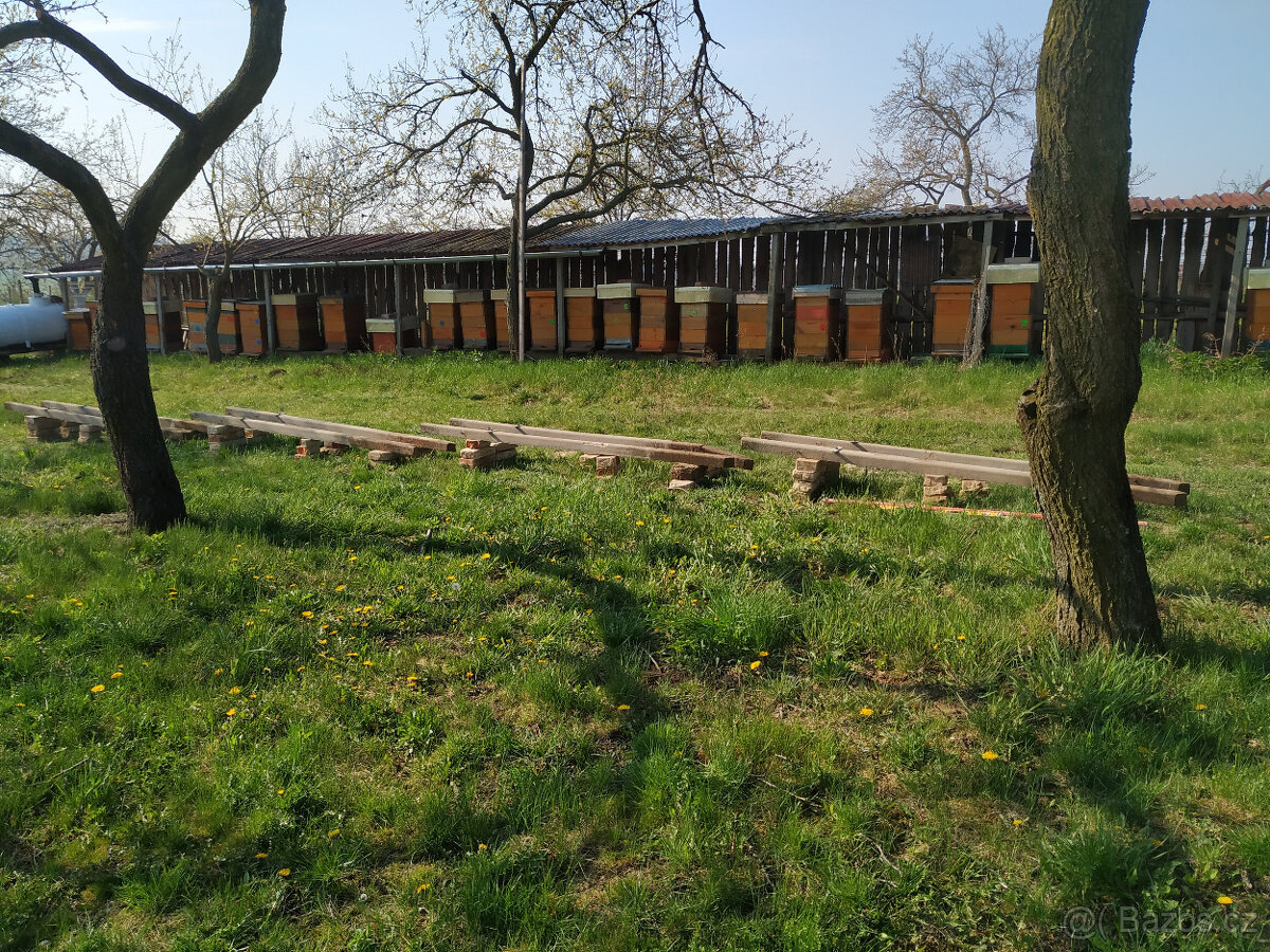 Prodej medoviny a medu - 5