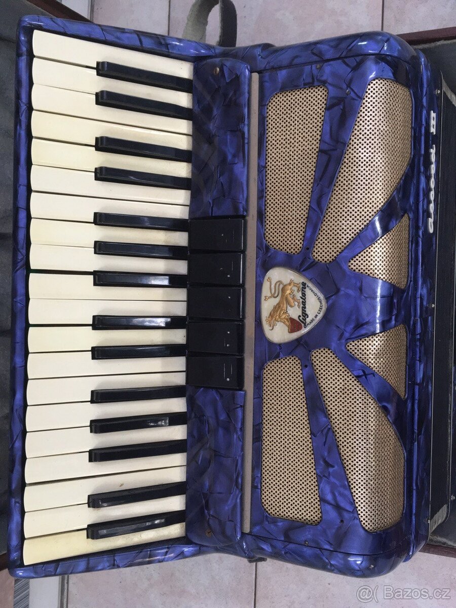 Akordeon Lignatone Accord III - 5