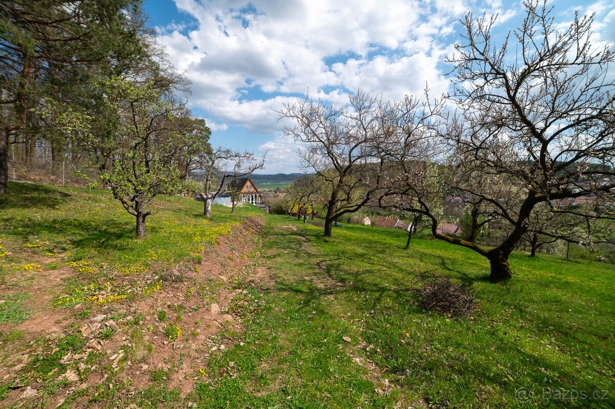 Stavební pozemek 9810m² Sentice u Brna - 5