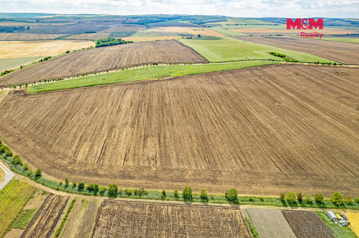 Prodej pole, 25.490 m², Žatčany - 5