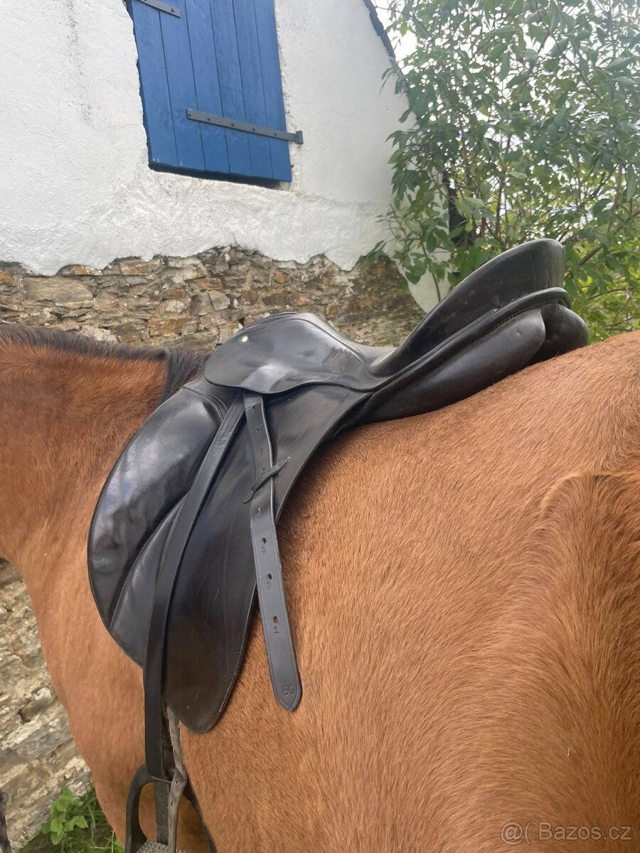 Passier GG Hannover - 5