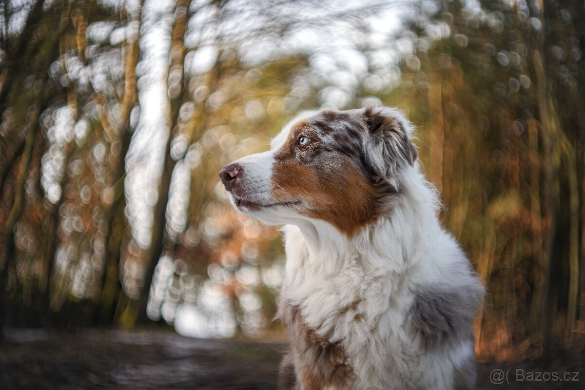 Zenitar 50/1,9 PK - 5