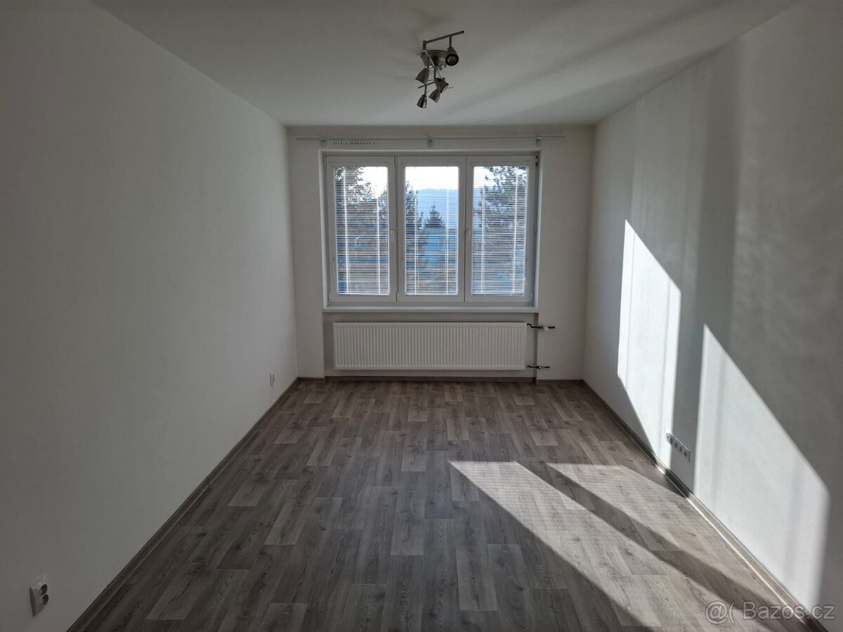 Pronájem bytu 2+1 Tišnov - 5