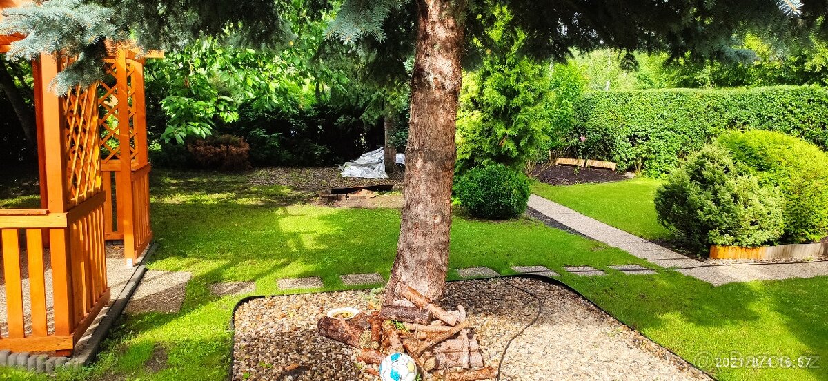 Pronájem zahrady - 5