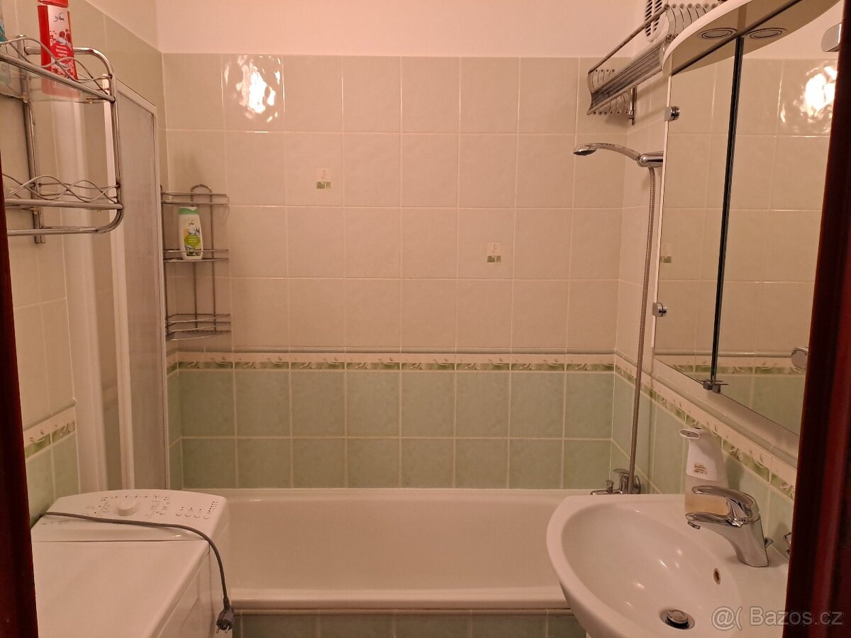 Pronájem bytu 3+1 s balkonem - 5
