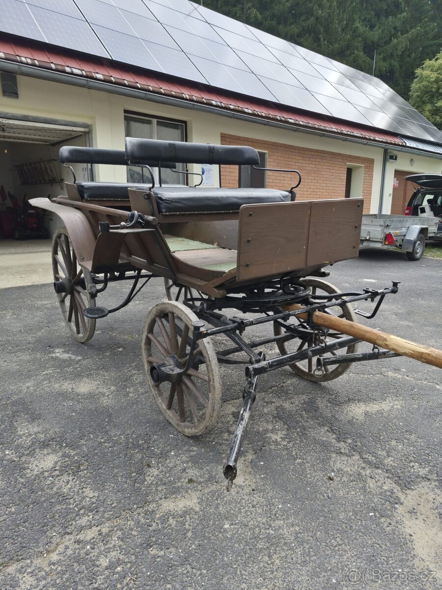 Bryčka za koně - 5