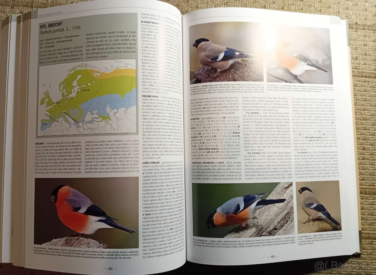 Ptáci: Pěvci Evropy, Blízkého východu a severní Afriky - 1,2 - 5