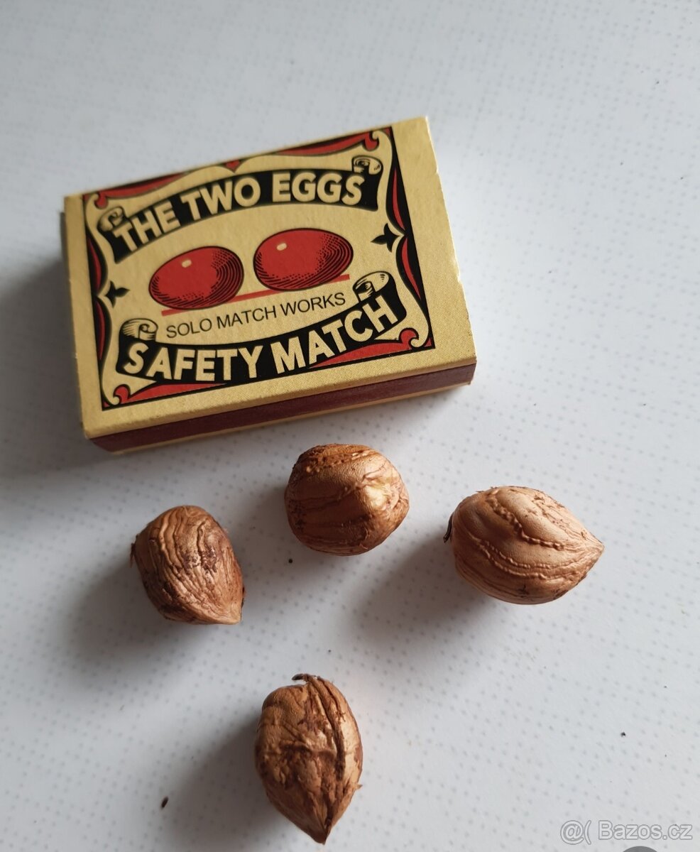 PRODEJ LÍSKOVÝCH OŘÍŠKŮ - 5