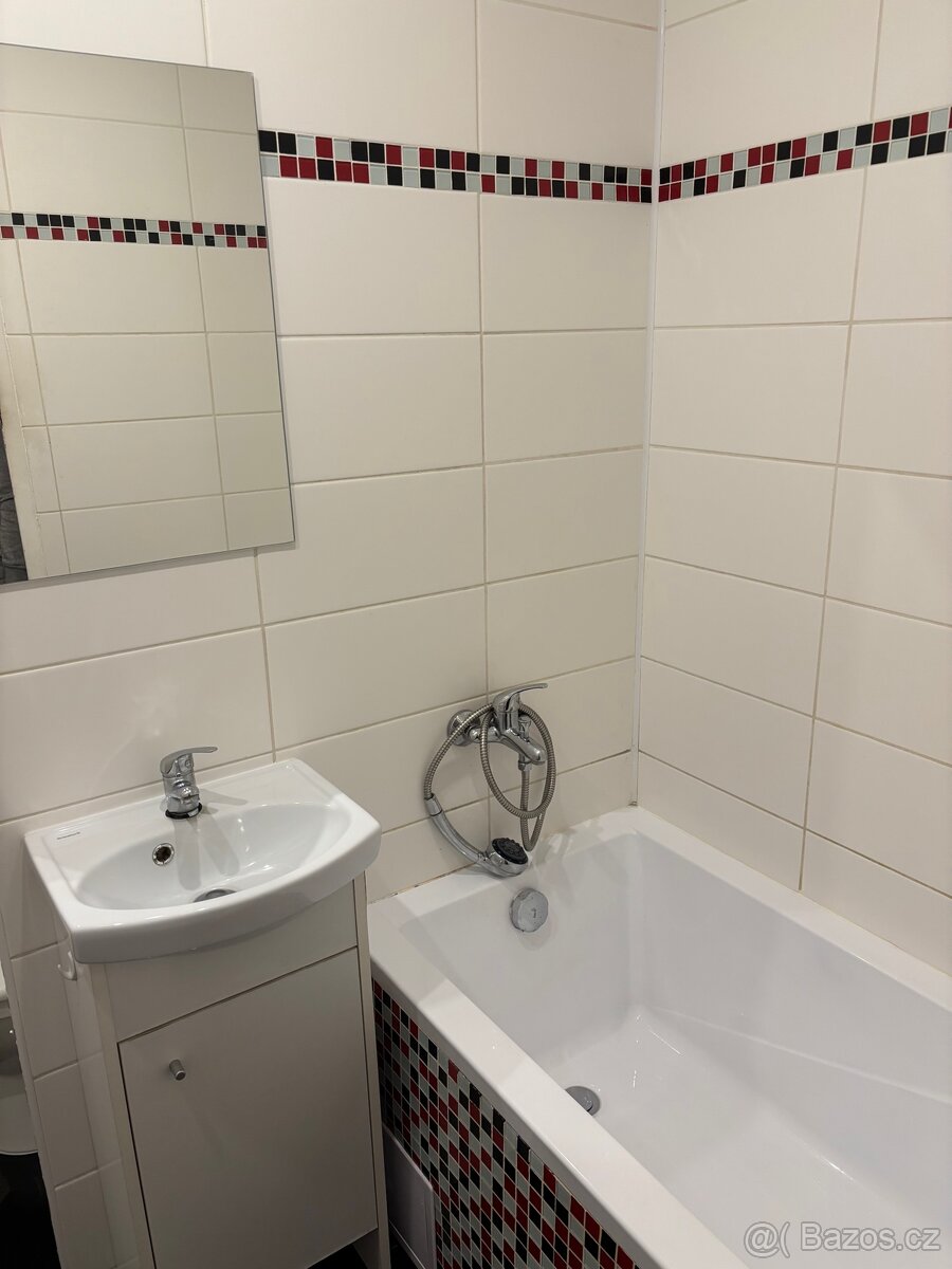 Byt 1+kk - pronájem - 5