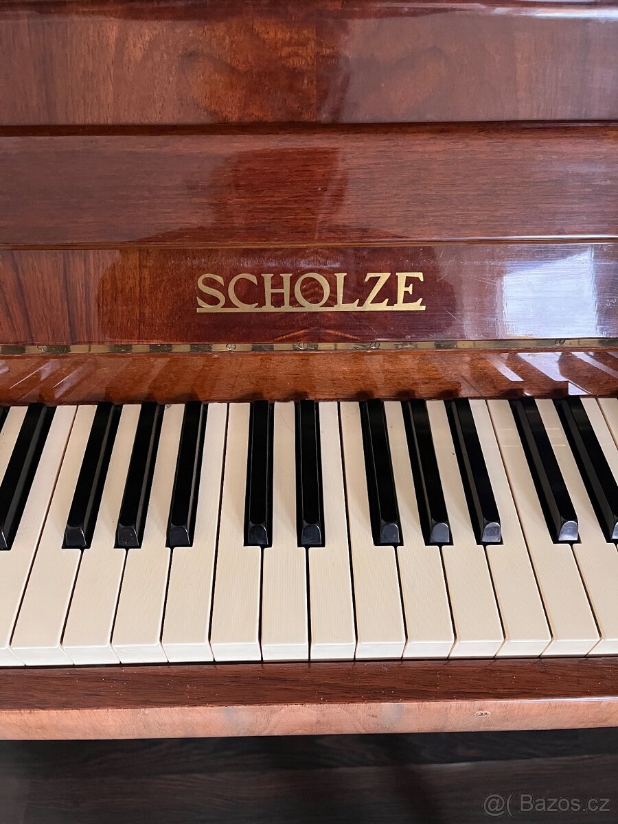SCHOLZE - 5