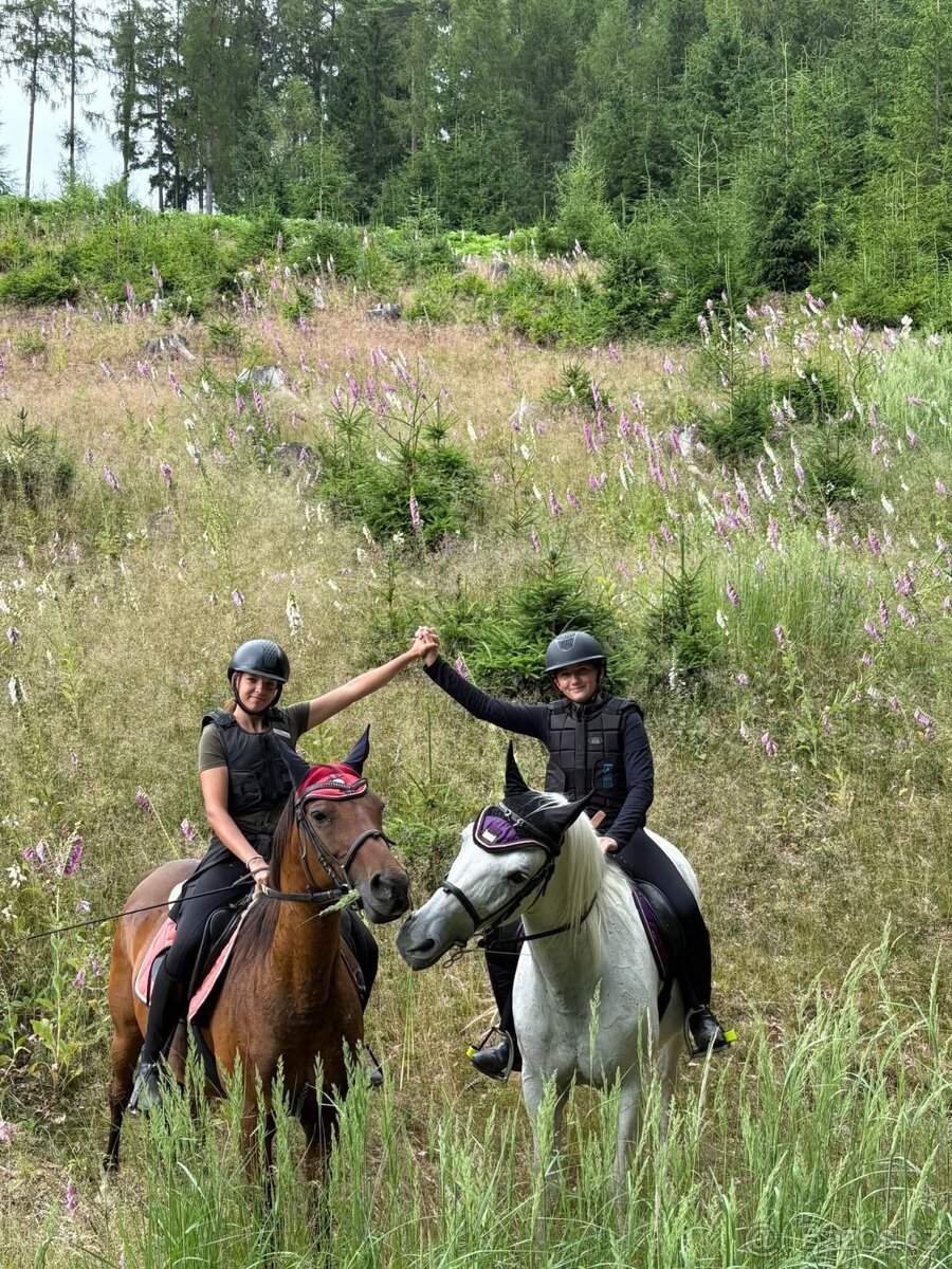 Dva koně pro začátečníky - 5