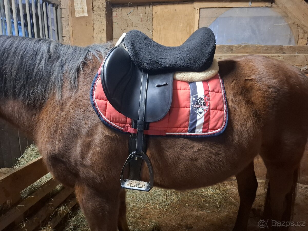 Podsedlová dečka - 5