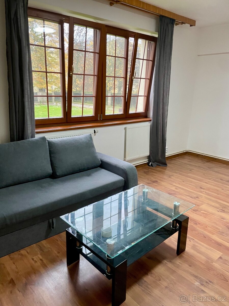 Pronájem bytu 2+1 - 5