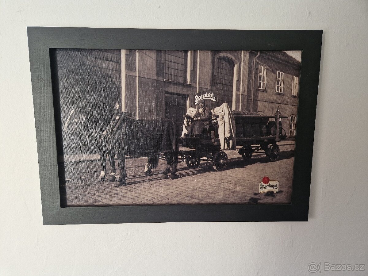 Obrazy pivovar Plzeň - 5