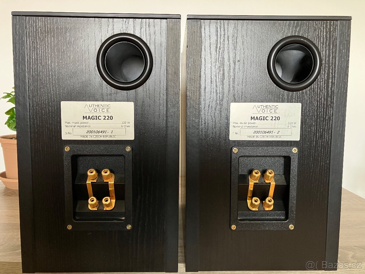 Authentic Voice - Magic 220 - 5