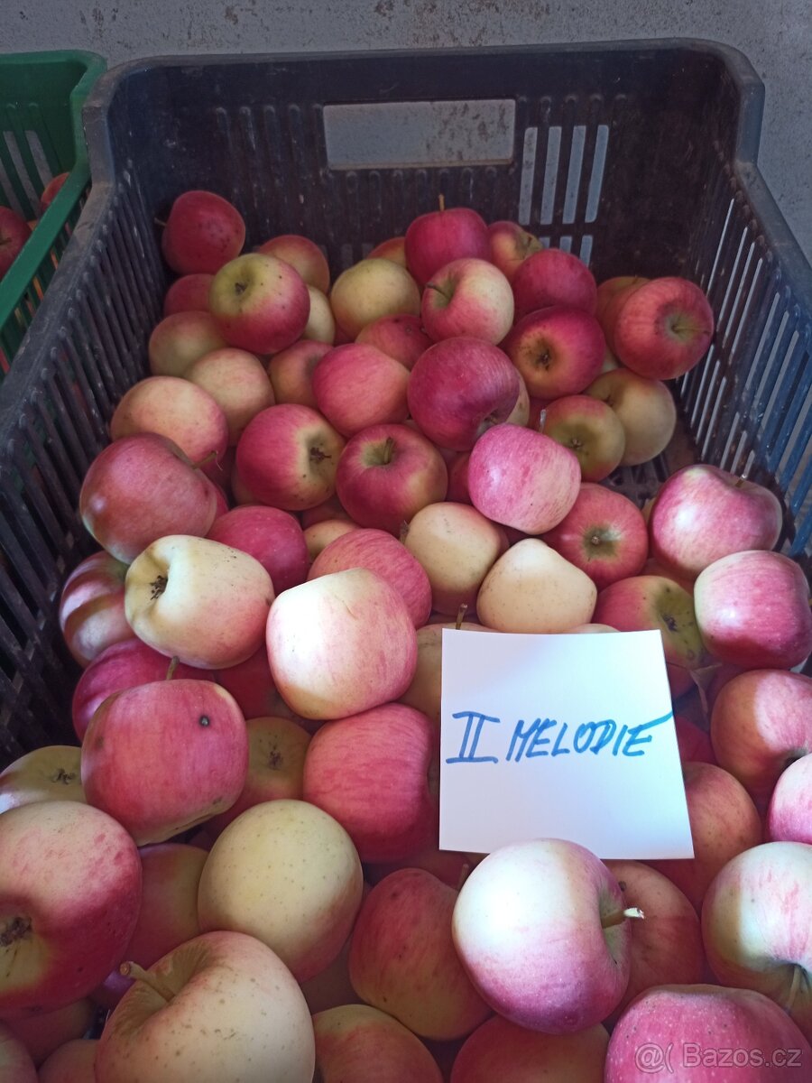 Bio jablka - 5