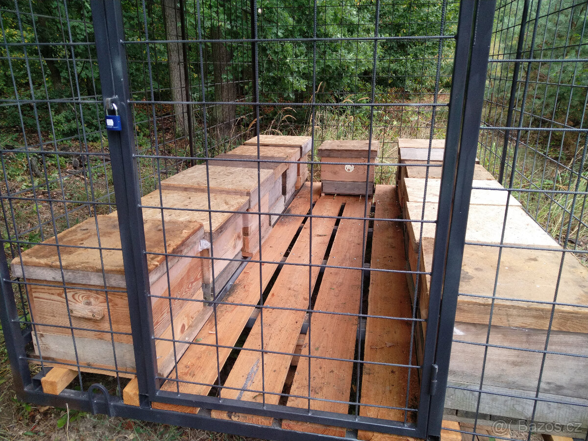 Prodám vyzimované včelí oddělky - včelstva - 5