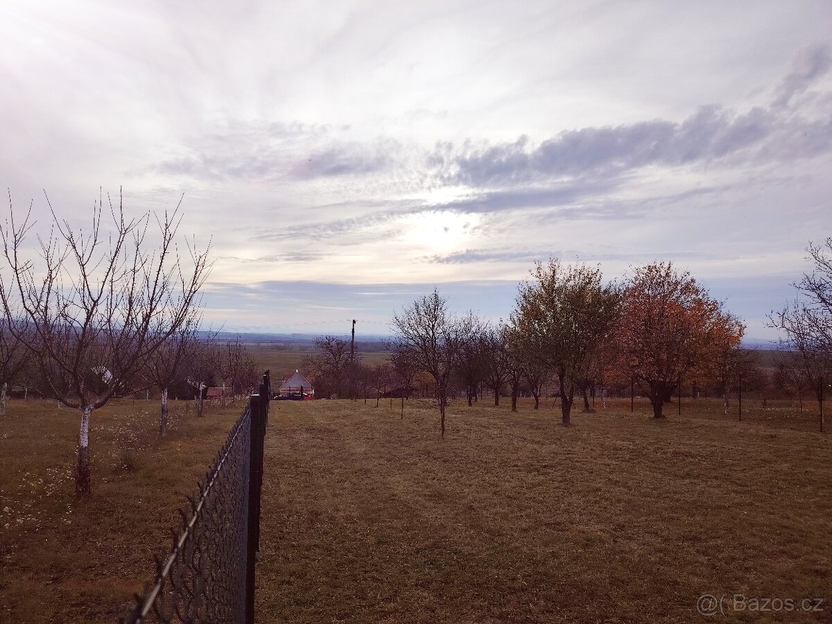 Prodej zahrady u Uherského Hradiště 1297 m2 - 5