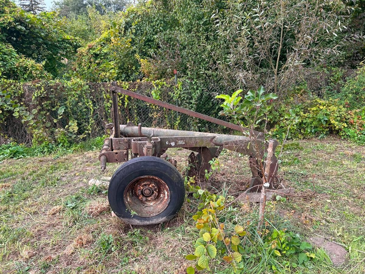 Pluh tříradličný - 5