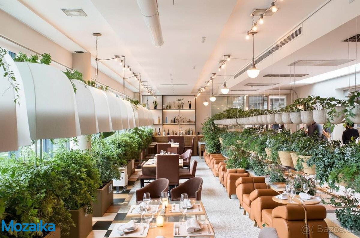 Obchodní dům v centru Lanškrouna. Už. pl. 704m2 - 5