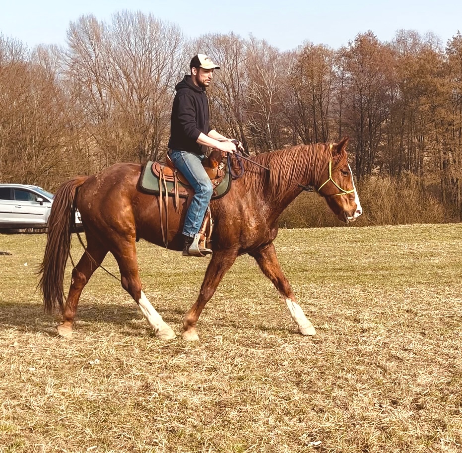 Parťák pro zkušeného - 5