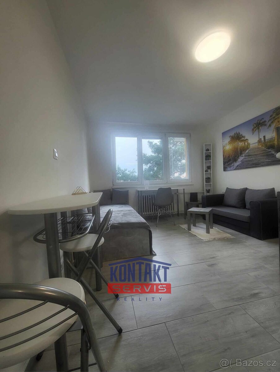 Pronájem plně vybaveného bytu 1+kk, 25 m² - České Budějovice - 5