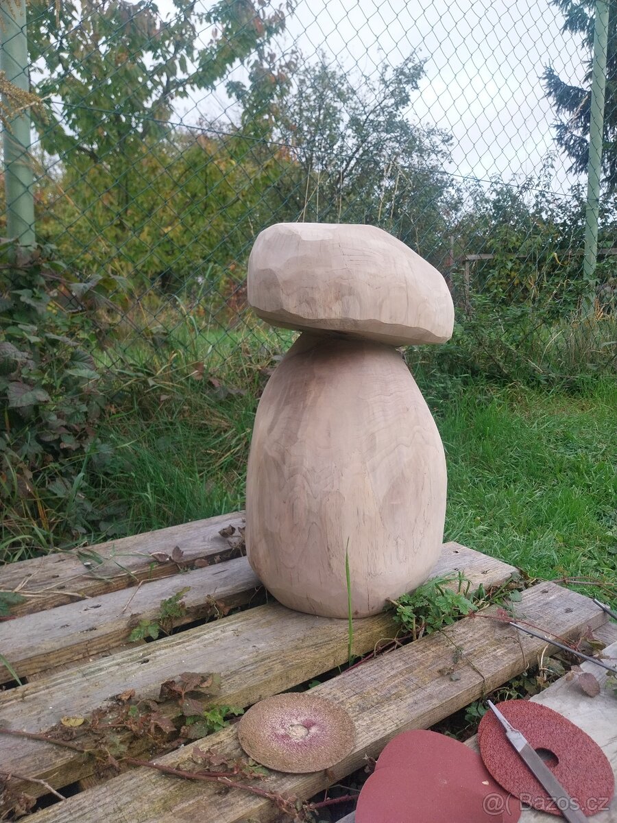 Dřevěný hřib - 5