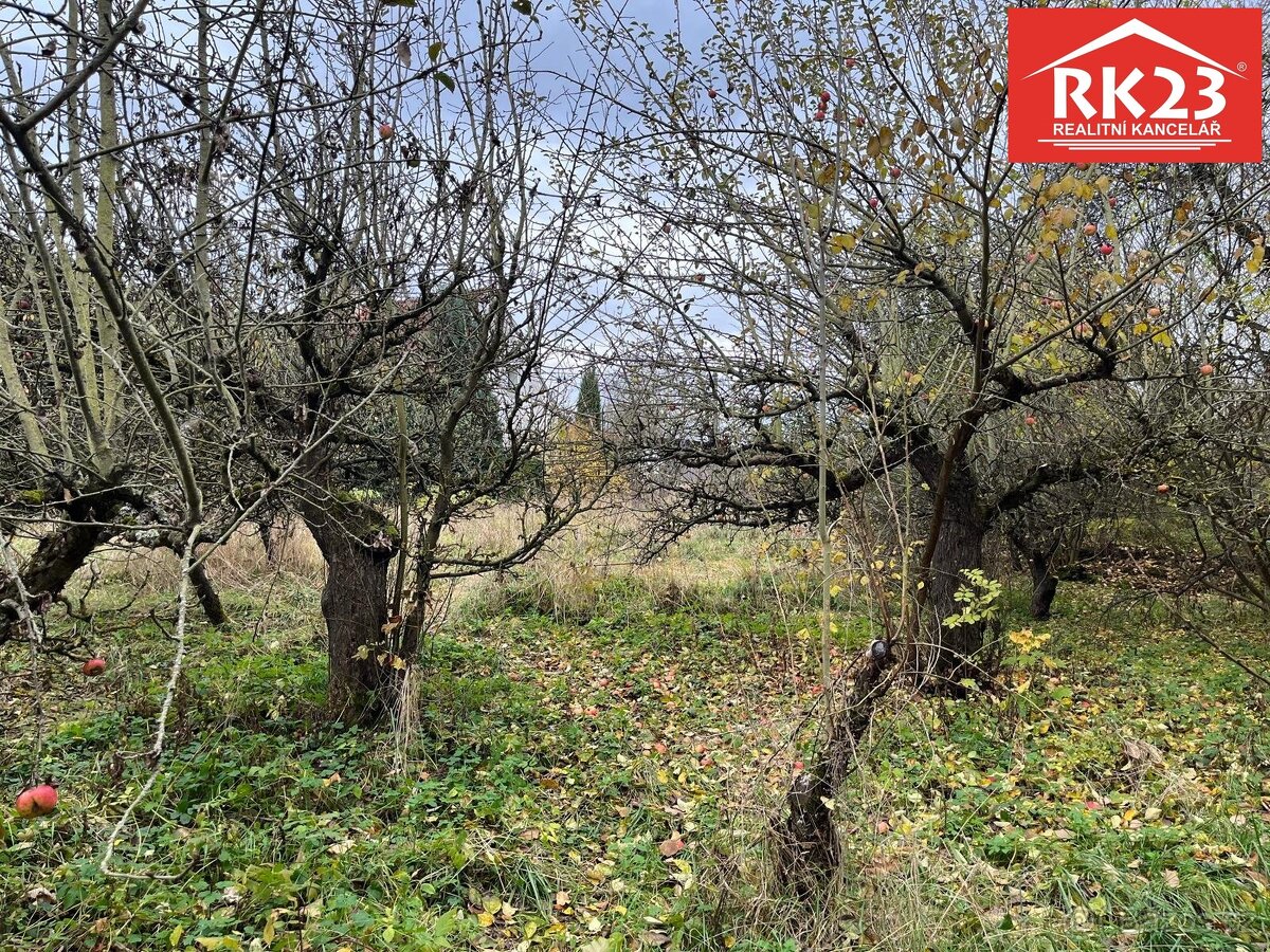 Prodej, Pozemek, Stráž - Olešná, ev.č. 02001 - 5