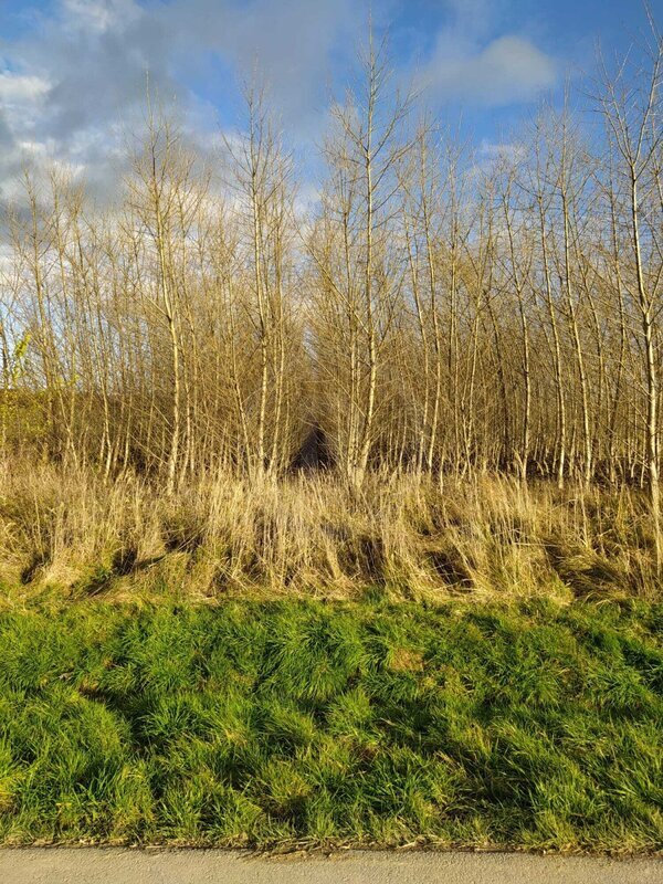 PRODEJ SOUBORU POZEMKŮ, HLUBOKÁ U BOROVAN - 5