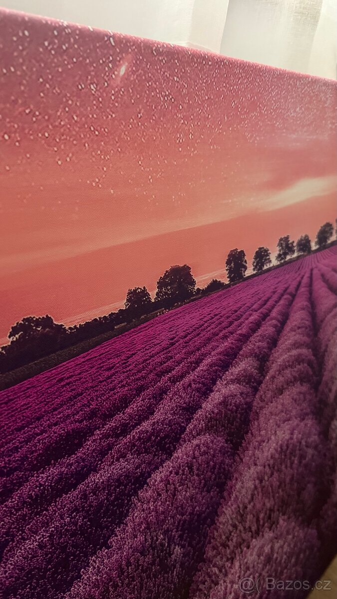 Fotoobraz - Levandulové pole - 5