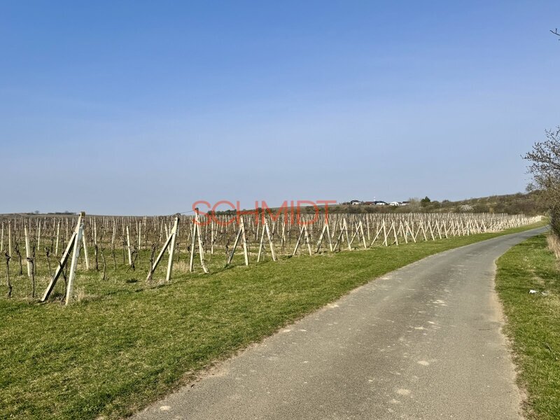 Prodej sadu, vinice 11748 m² - 5