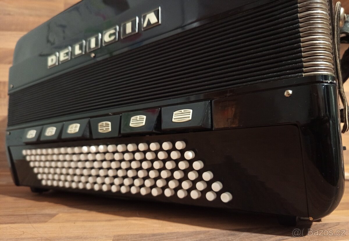 Akordeon (harmonika, heligonka) Delicia 120 - 5