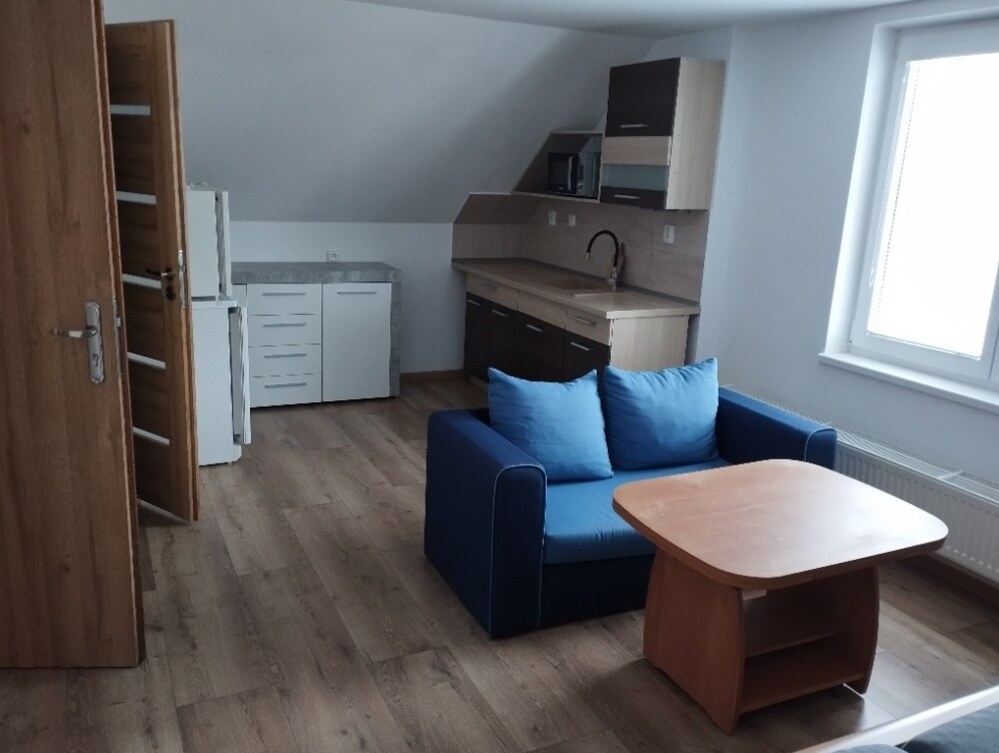 Krátkodobý pronájem - 5