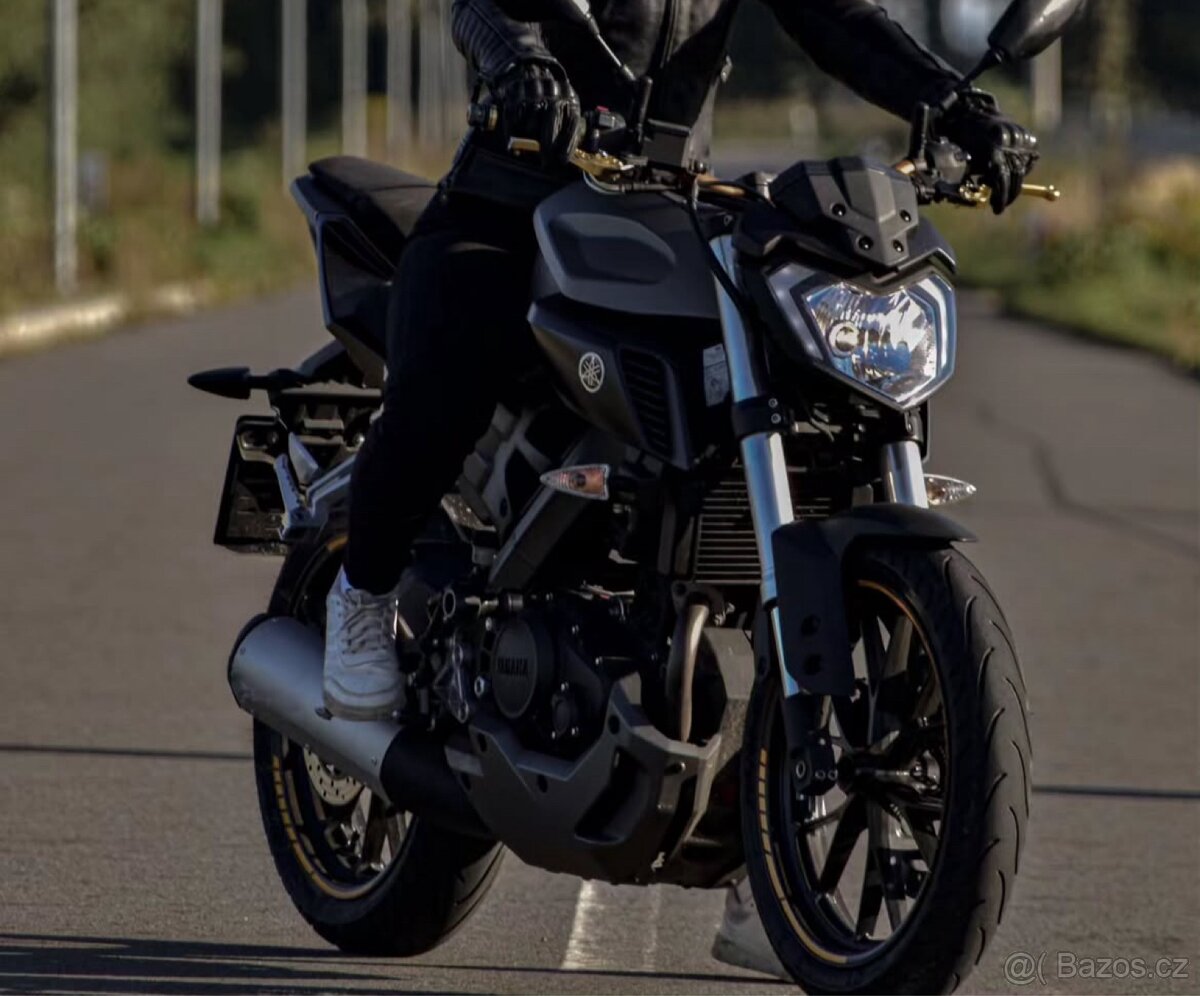 Yamaha MT 125 r. 2015 (od 16-ti let) A1 - 5