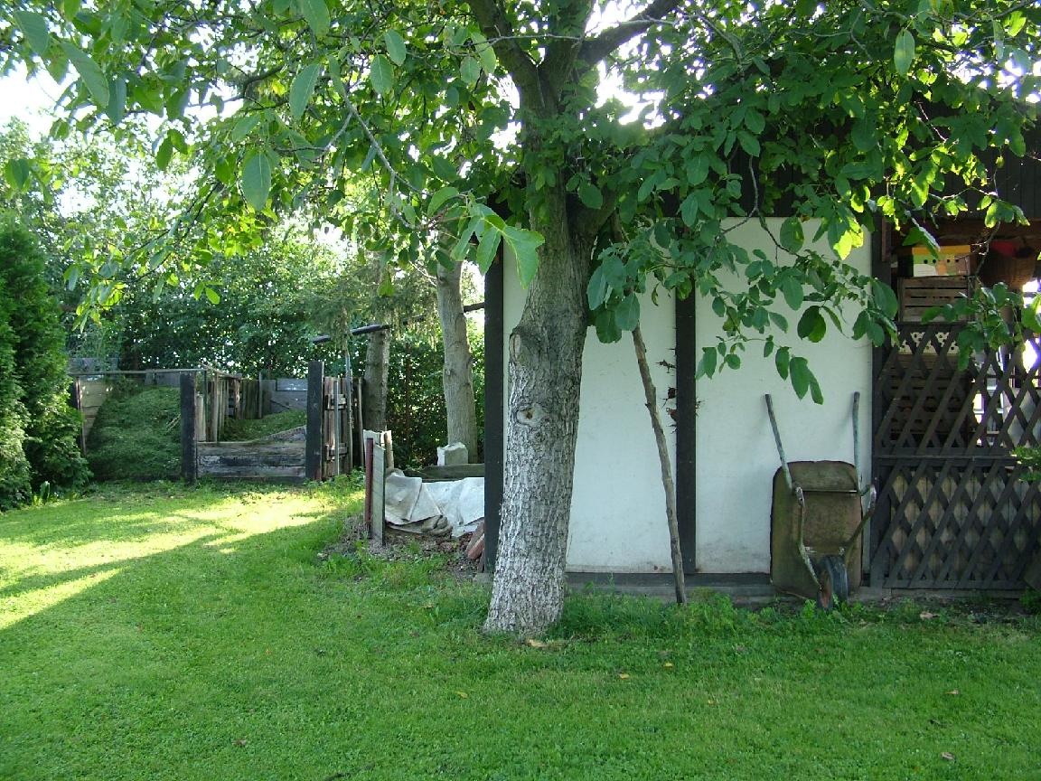 Prodám zahradu - 5