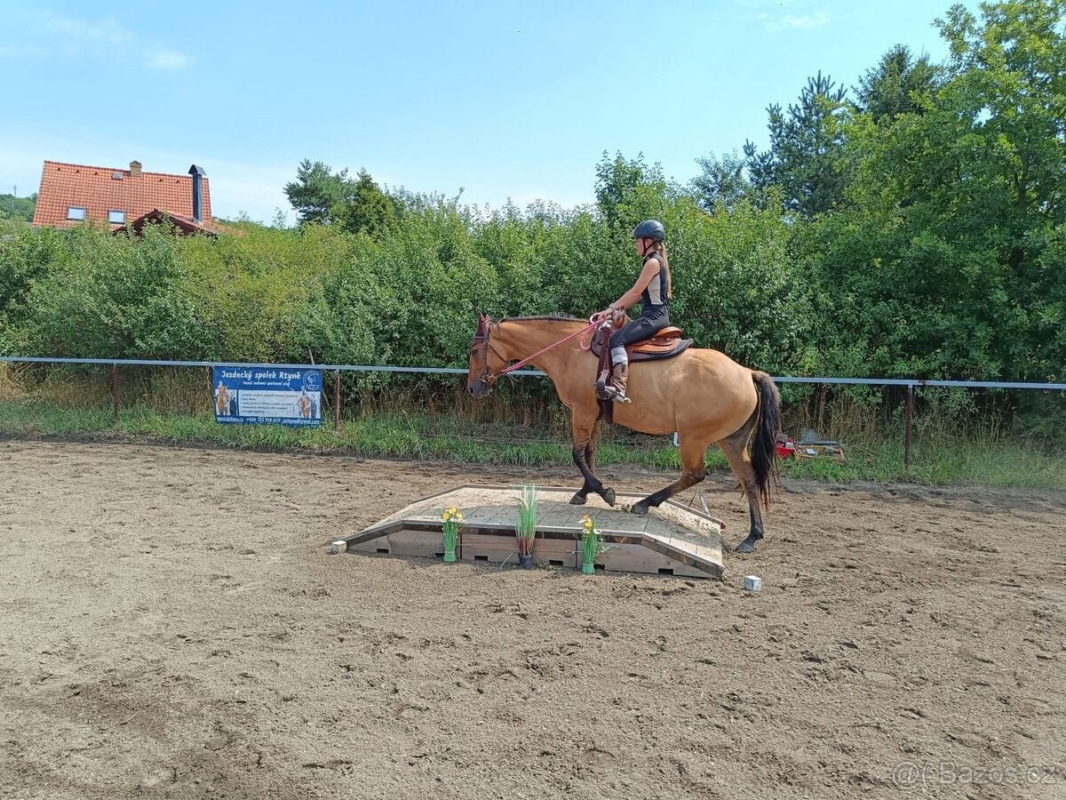 Kobyla APH 2021 - 5