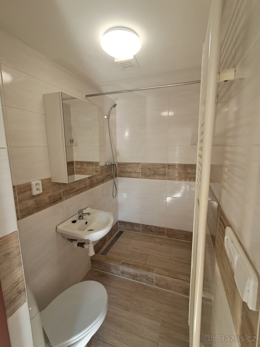 LETOVICE dům se třemi bytovými jednotkami 1+1 - 5