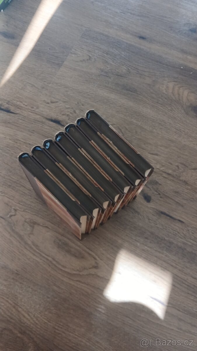 Pařížští Mohykáni - 5