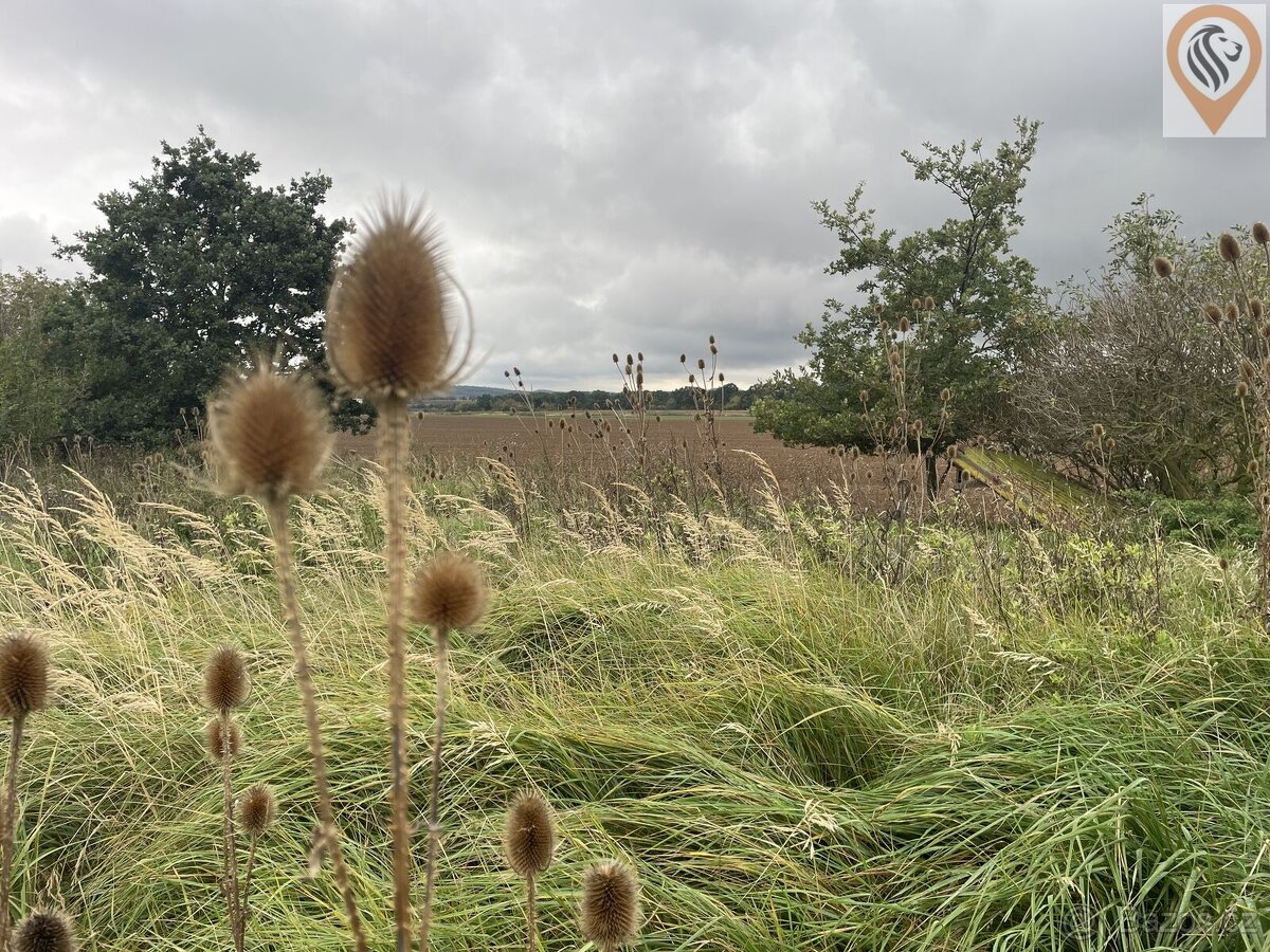 Prodej orné půdy o rozloze 51 051m2 - 5