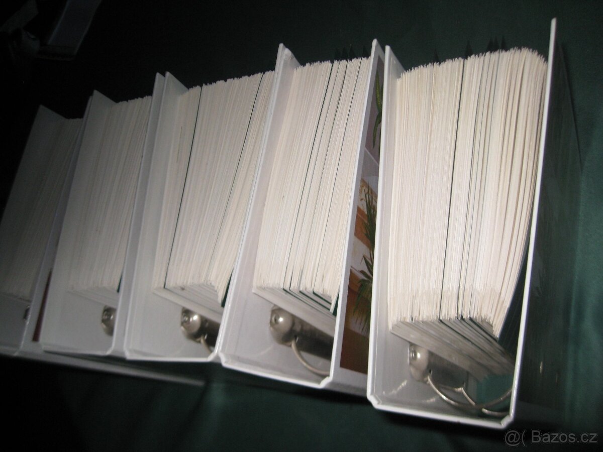 pokojové květiny od A do Z - - 5