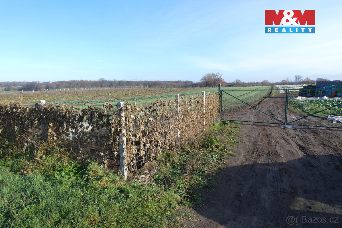 Prodej ovocného sadu, 9979 m², Nové Dvory u Kutné Hory - 5