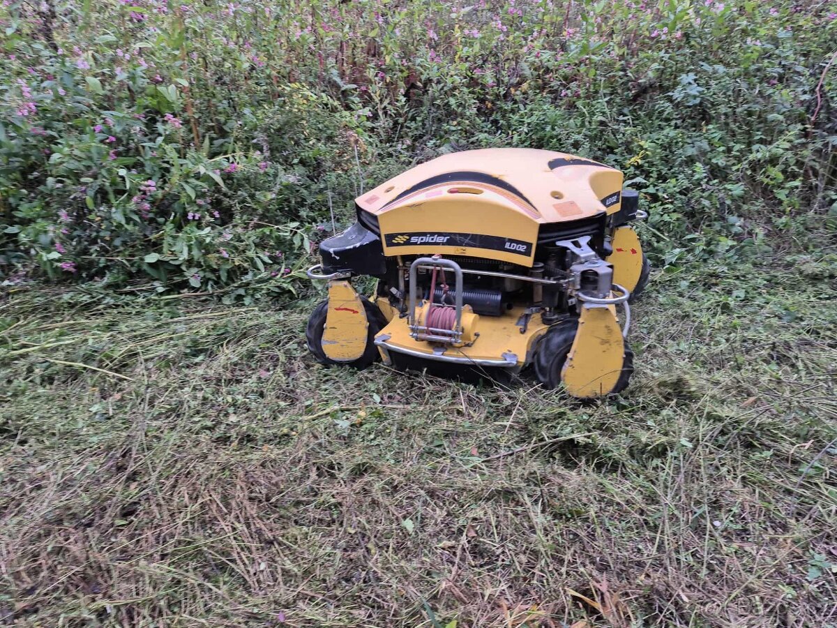 Spider ILD 02 - 5