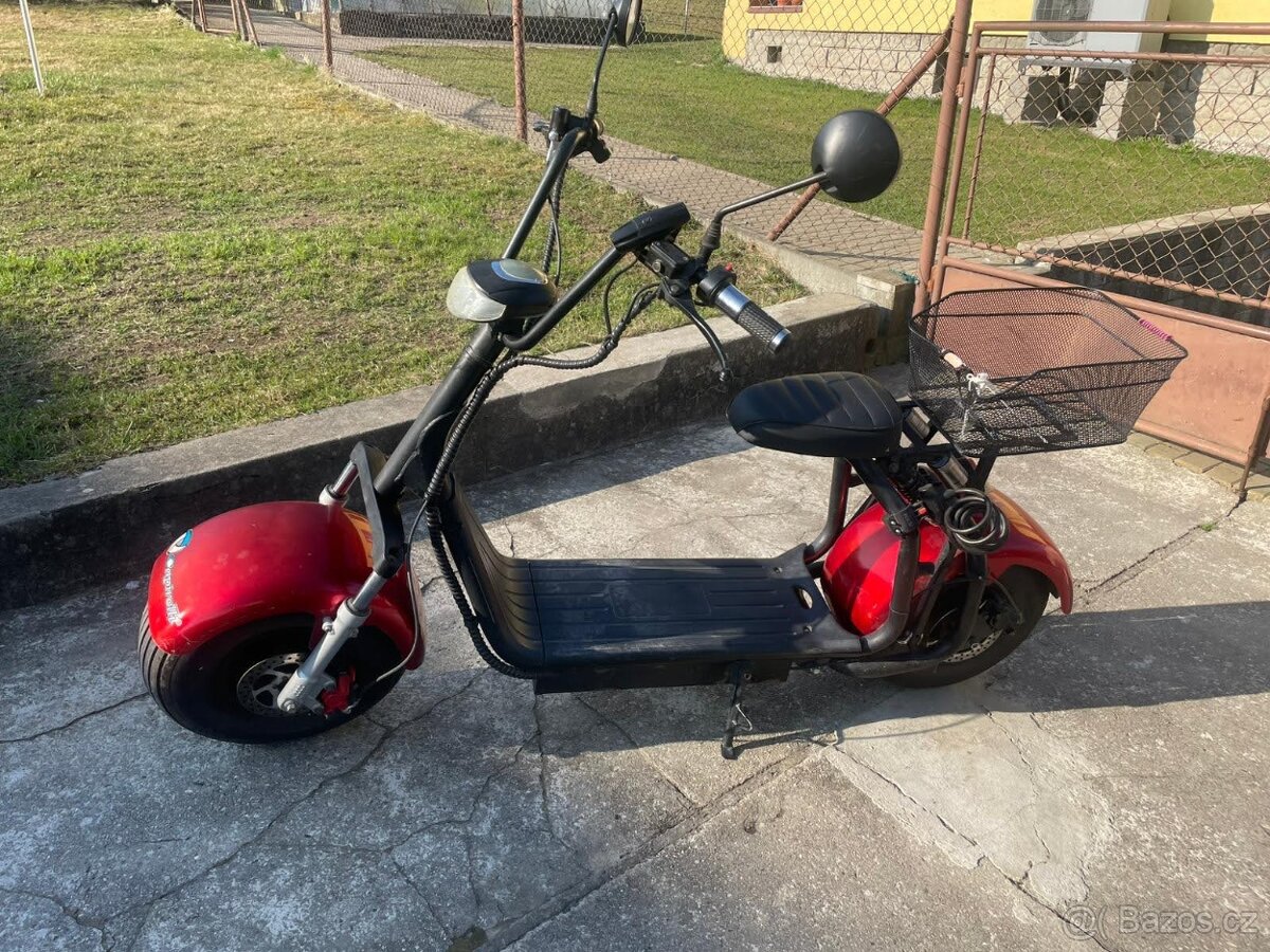 Capirelli urbano - 5