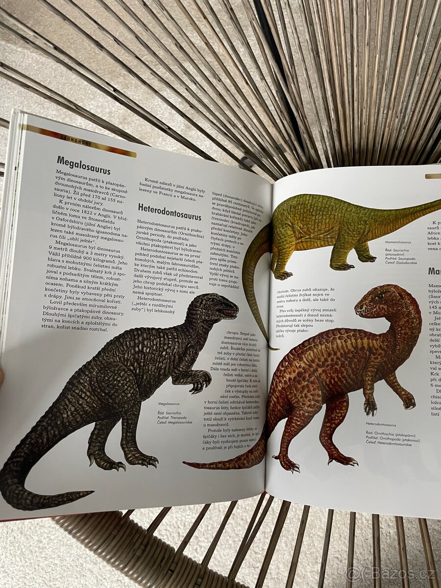 Dinosauři objevy, druhy, zánik - 5