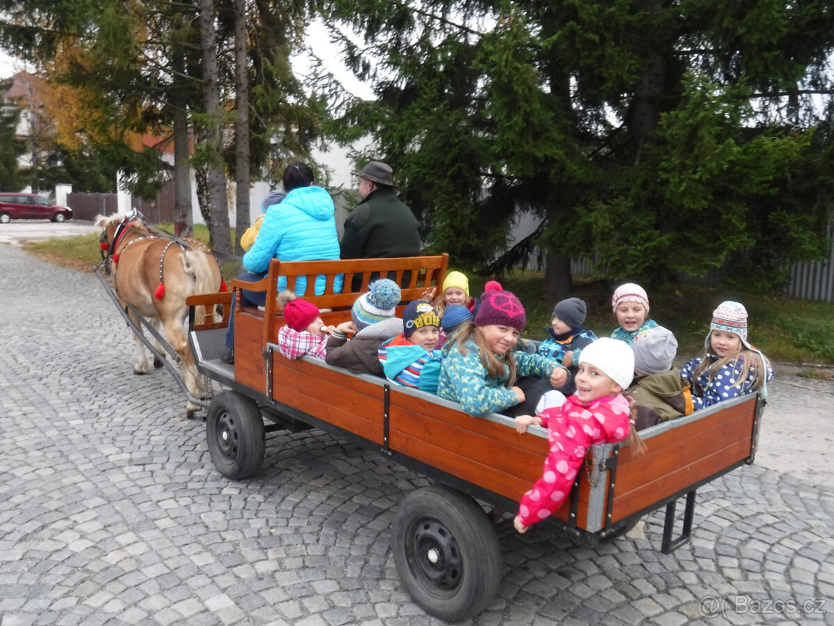 SÁNĚ A VŮZ ZA KONĚ - prodám - 5