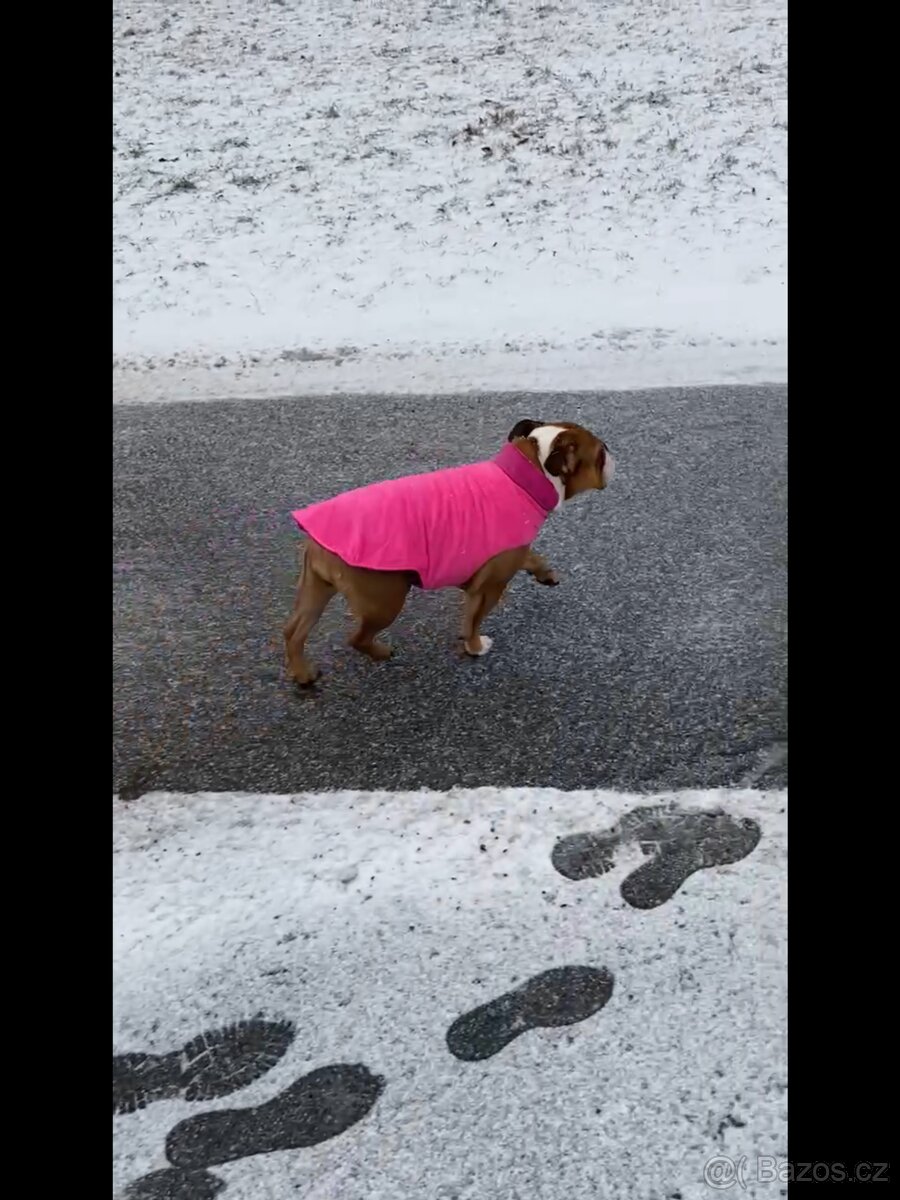 zimní vesta Surtep Animals Street - 5