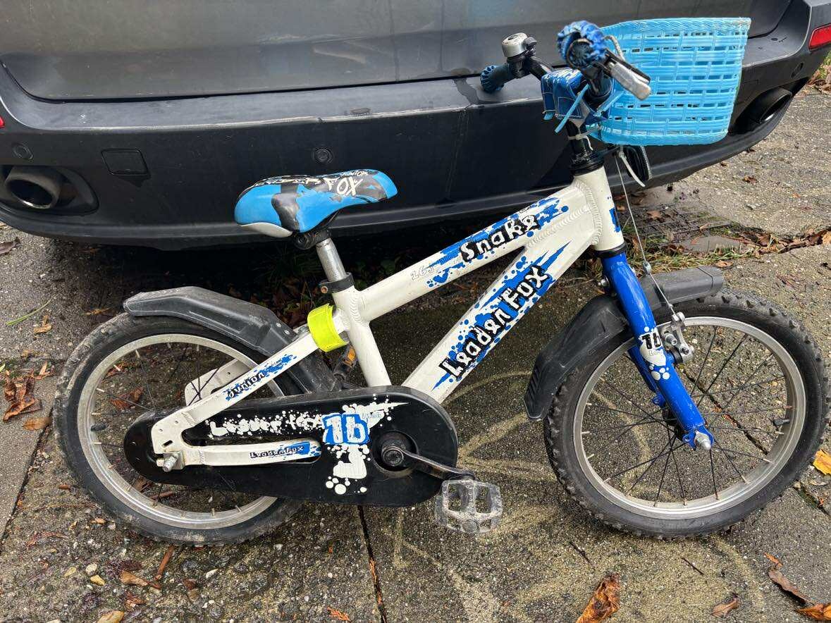 Dětské kolo 16' Leader Fox Snake - 5