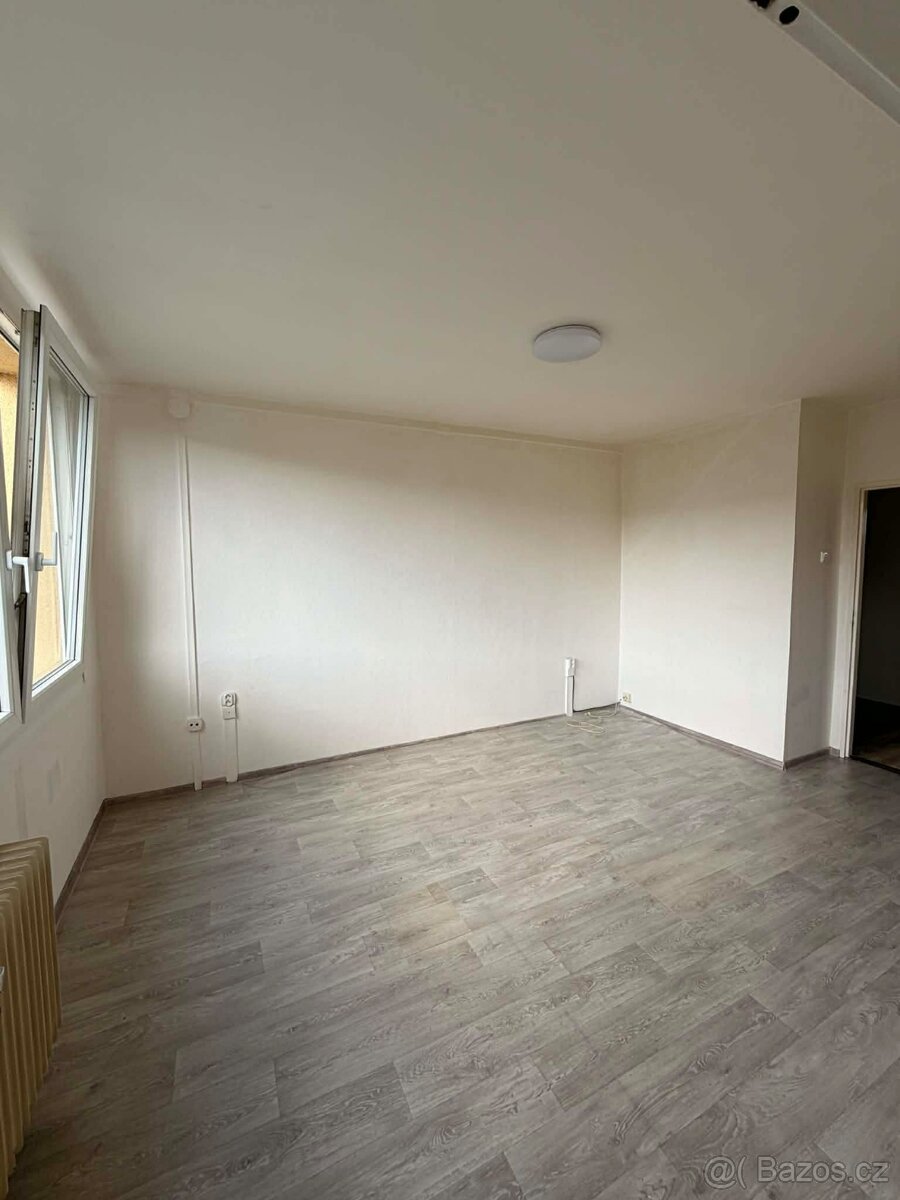 Pronájem - 5