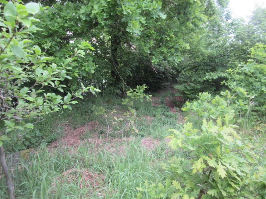 NA PRODEJ - POZEMKY 2.006 m2, BOŠOVICE U ČÍŽOVÉ (PÍSECKO) - 5